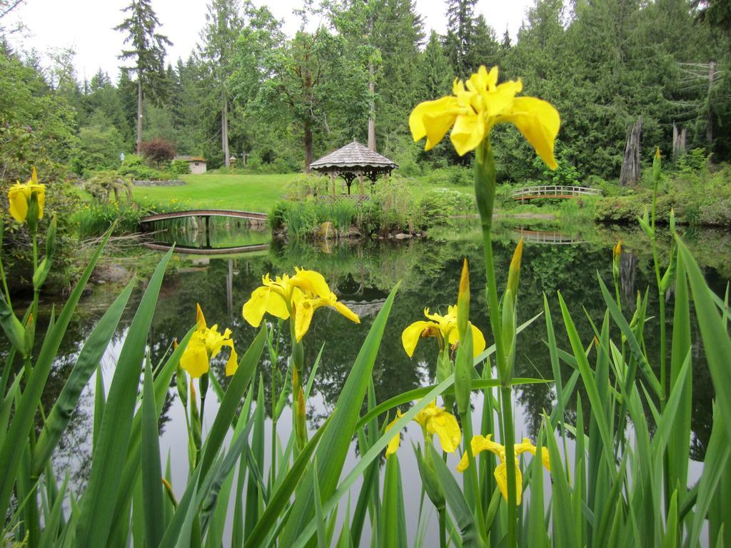 A Hidden Haven Cottages Port Angeles Exteriör bild
