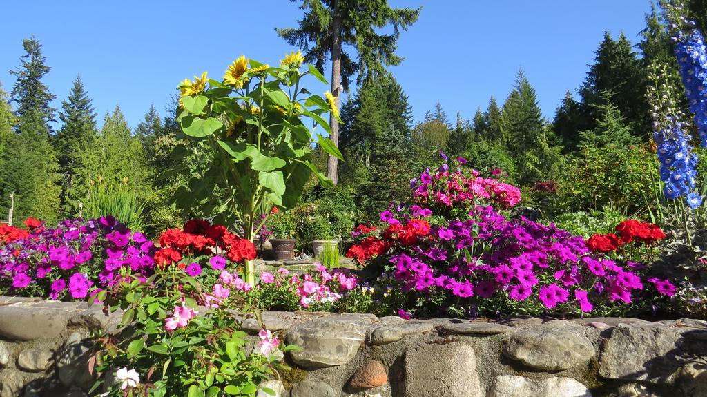 A Hidden Haven Cottages Port Angeles Exteriör bild