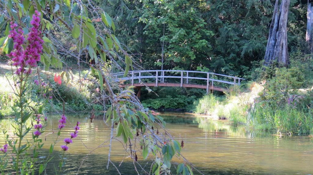 A Hidden Haven Cottages Port Angeles Exteriör bild