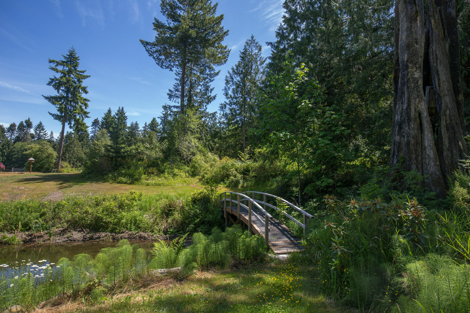 A Hidden Haven Cottages Port Angeles Exteriör bild