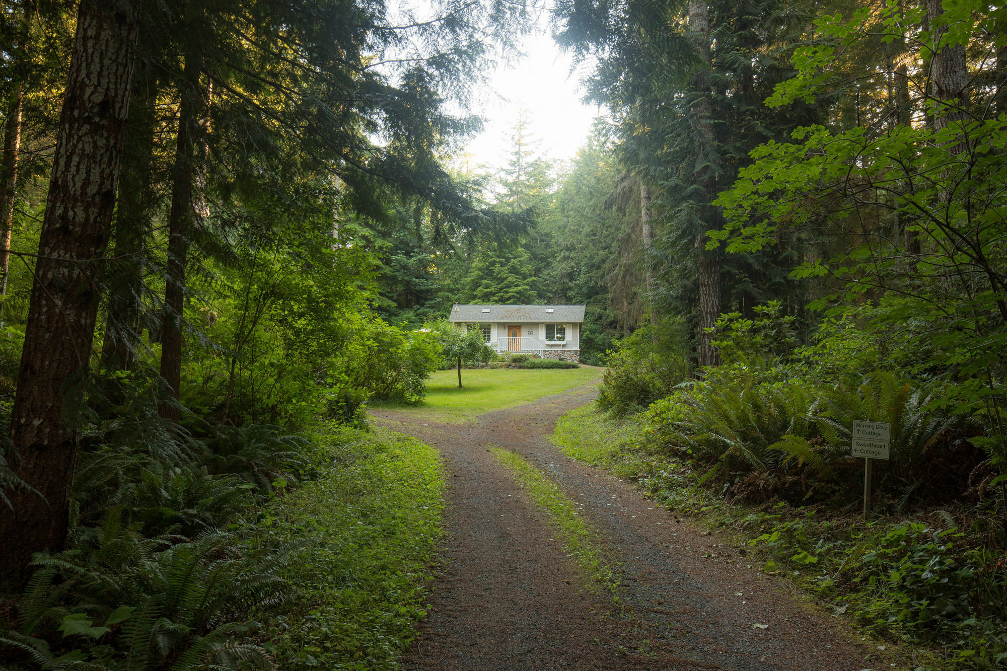 A Hidden Haven Cottages Port Angeles Exteriör bild