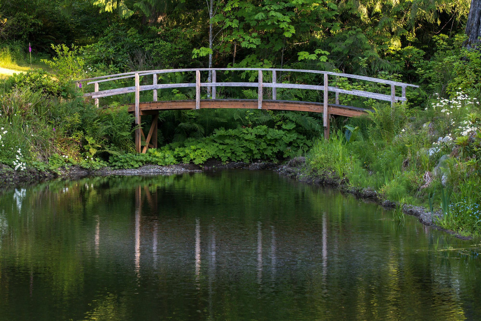 A Hidden Haven Cottages Port Angeles Exteriör bild
