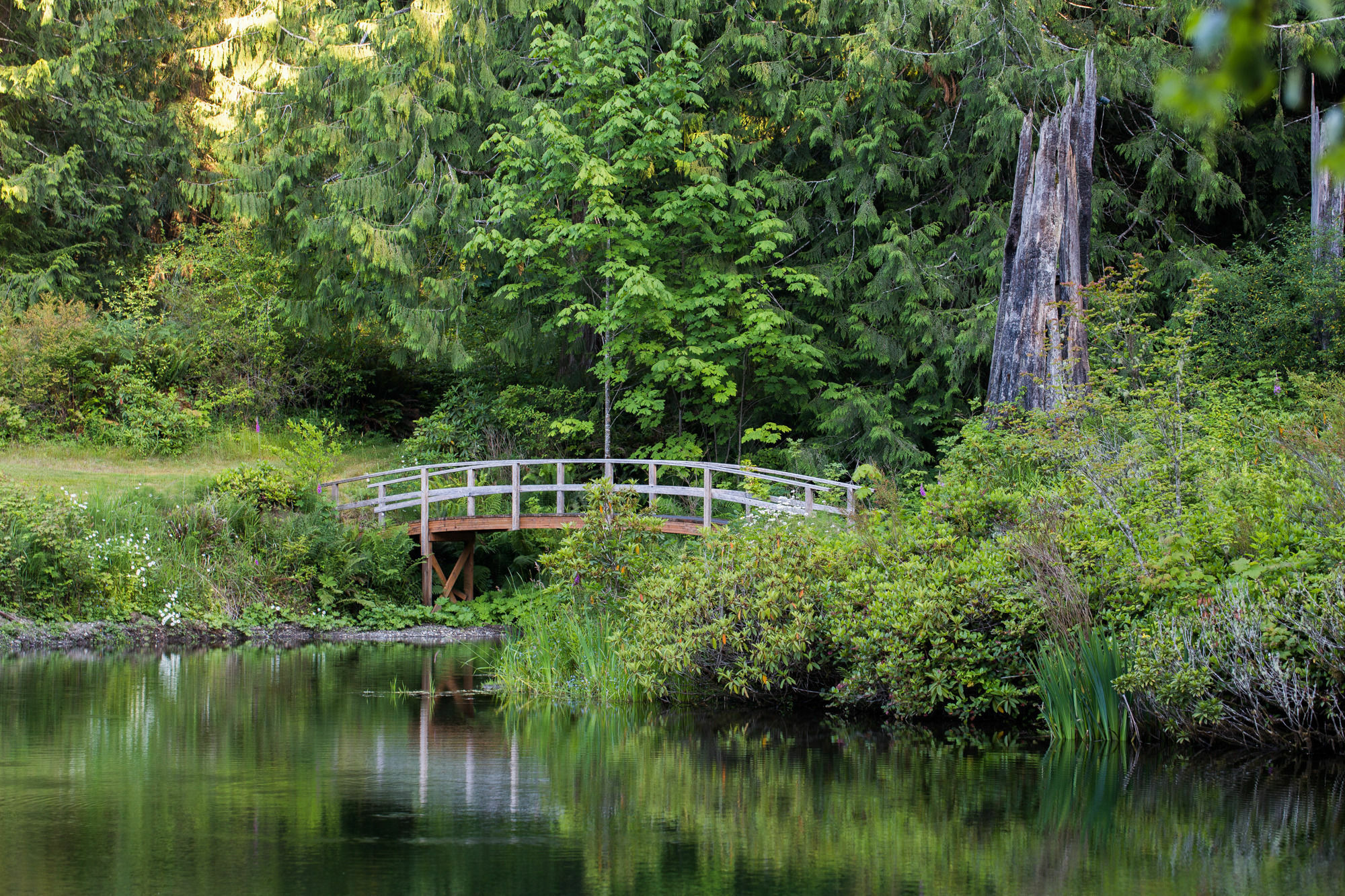 A Hidden Haven Cottages Port Angeles Exteriör bild